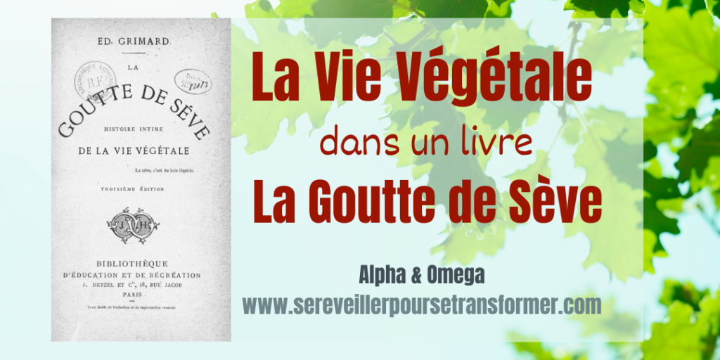 la vie végétale - La goutte de sève