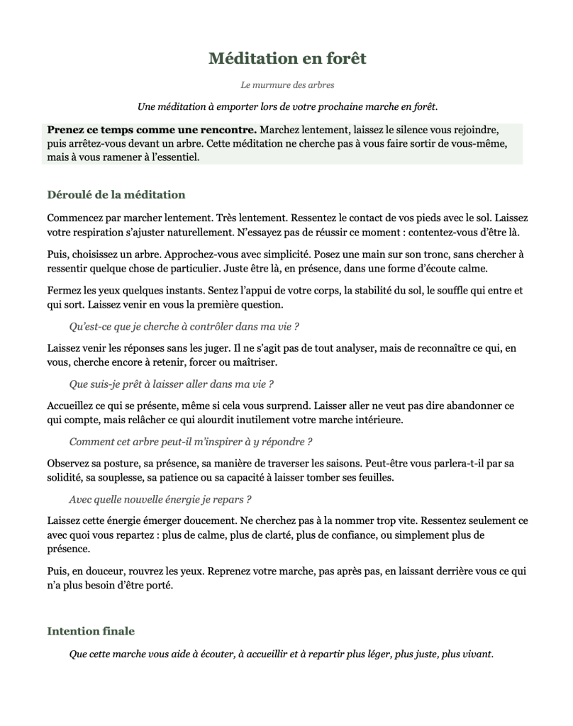 Marche en forêt méditative