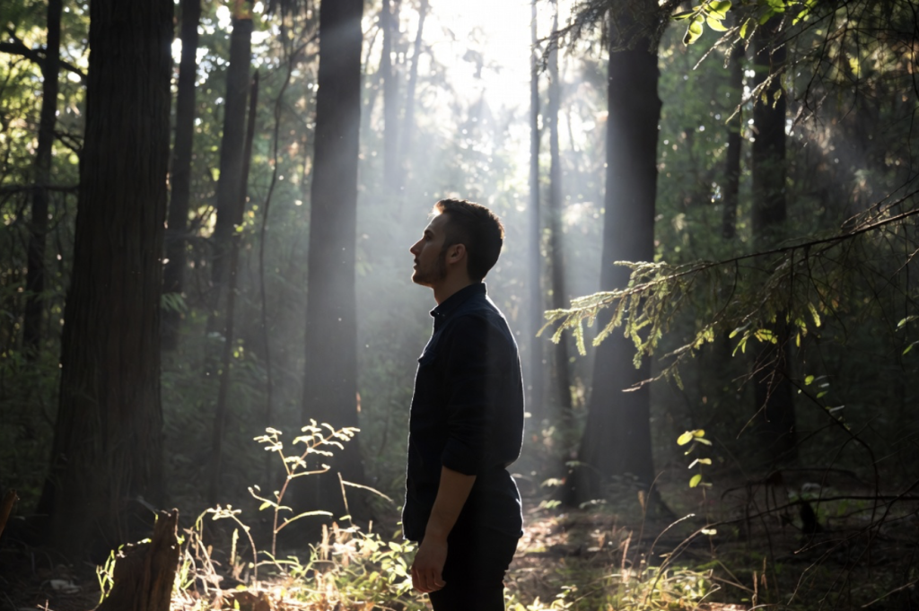 transformation intérieure en forêt