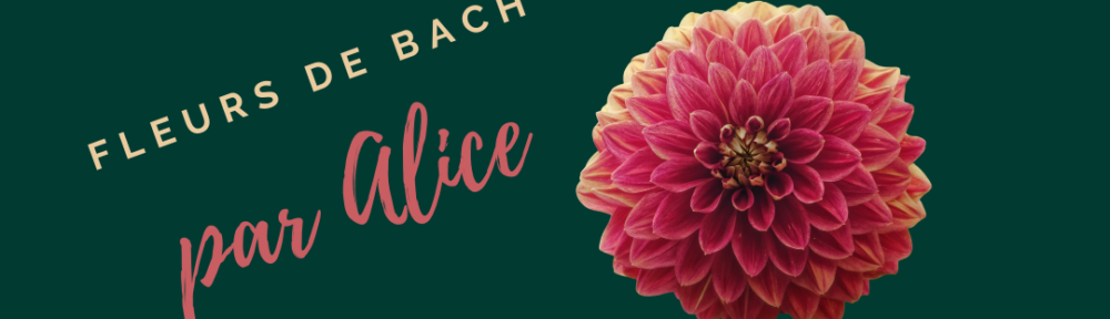 #52 Fleurs de Bach par Alice