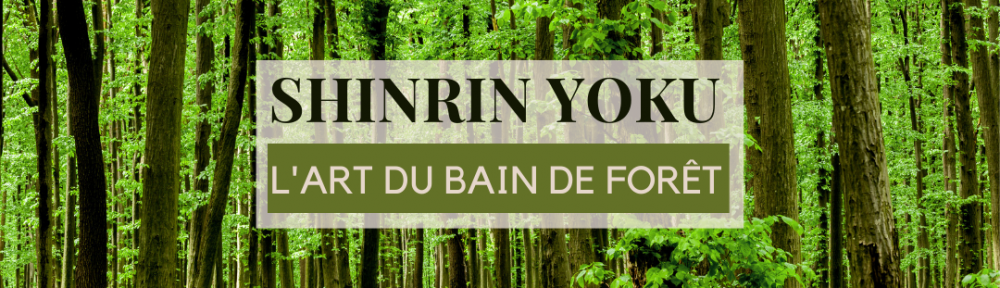 Shinrin Yoku L'Art du Bain de Forêt