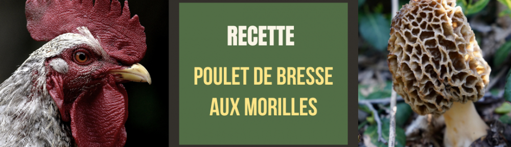 #133 Incroyable recette de poulet de Bresse aux morilles !