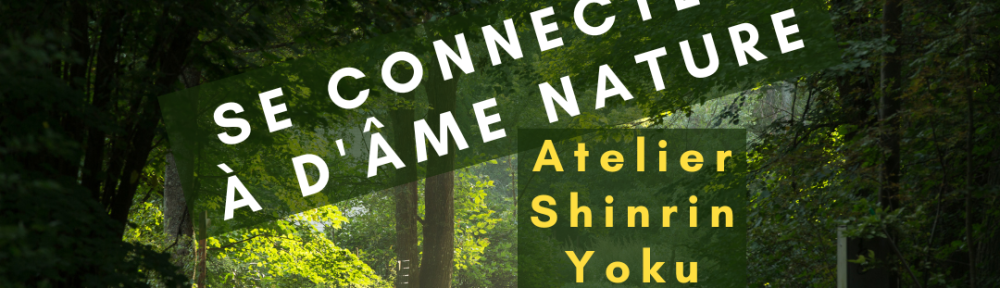 #143 – Se connecter à d’Âme Nature avec un atelier Shinrin Yoku