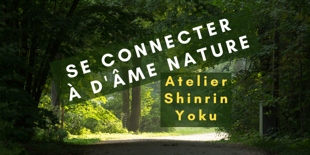 D'Âme Nature - Atelier Shinrin Yoku
