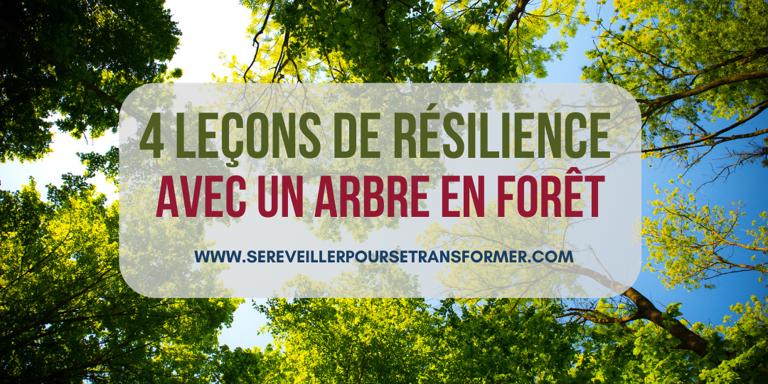 #188 – 4 leçons de résilience avec un arbre en forêt