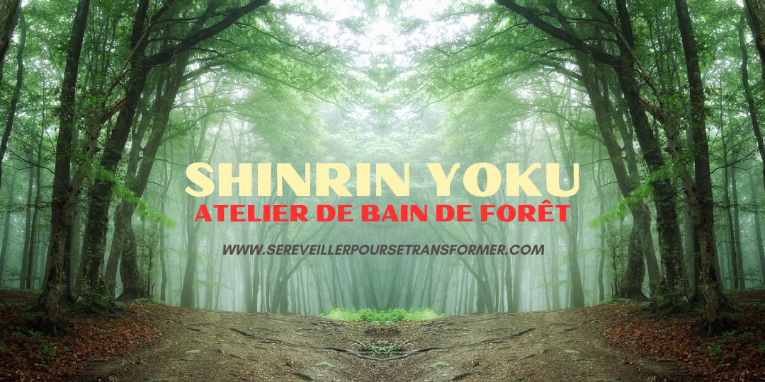 #192 – Shinrin Yoku ou atelier de bain de forêt