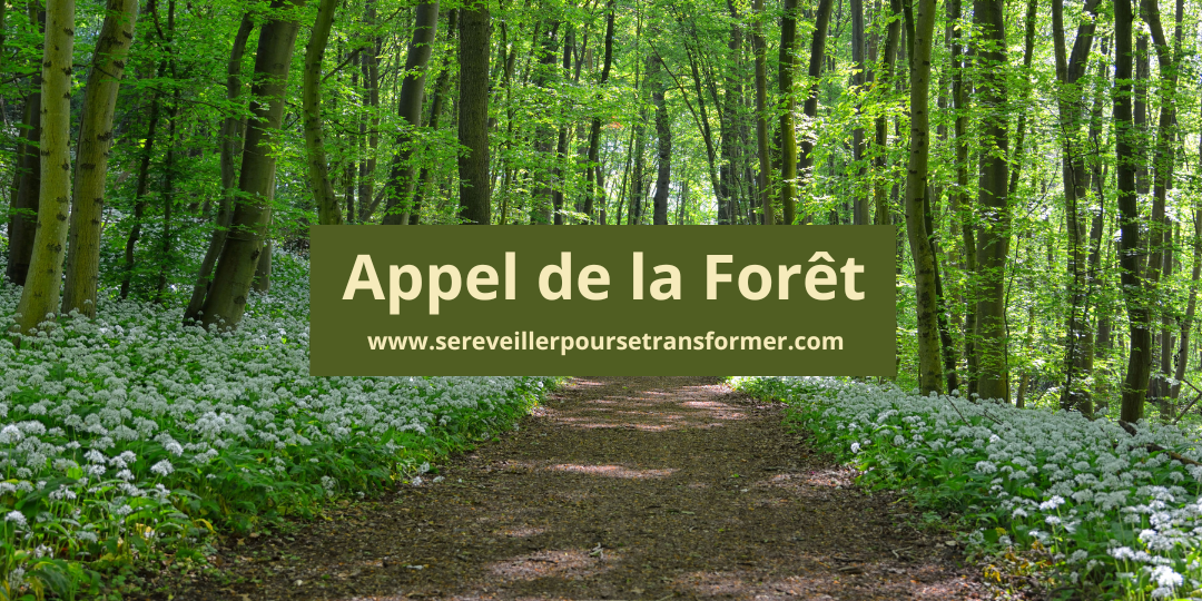#201 – L’appel de la forêt 