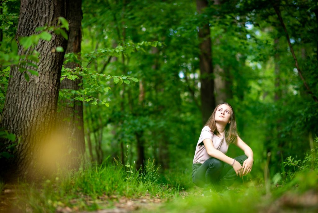 rassuriste avec les arbres