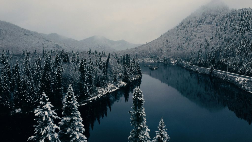 plat d’hiver réconfortant