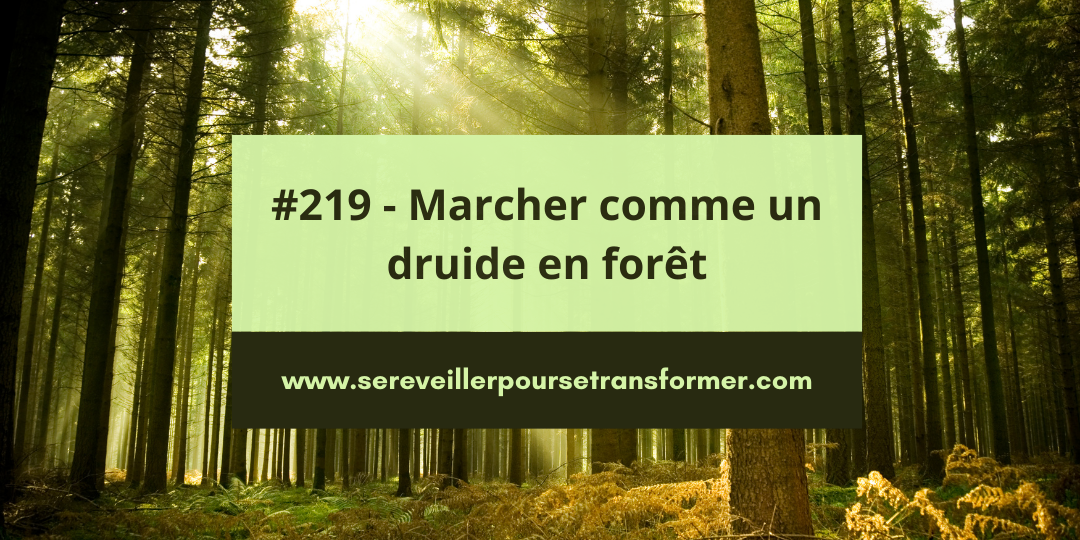 #219 – Marcher comme un druide en forêt