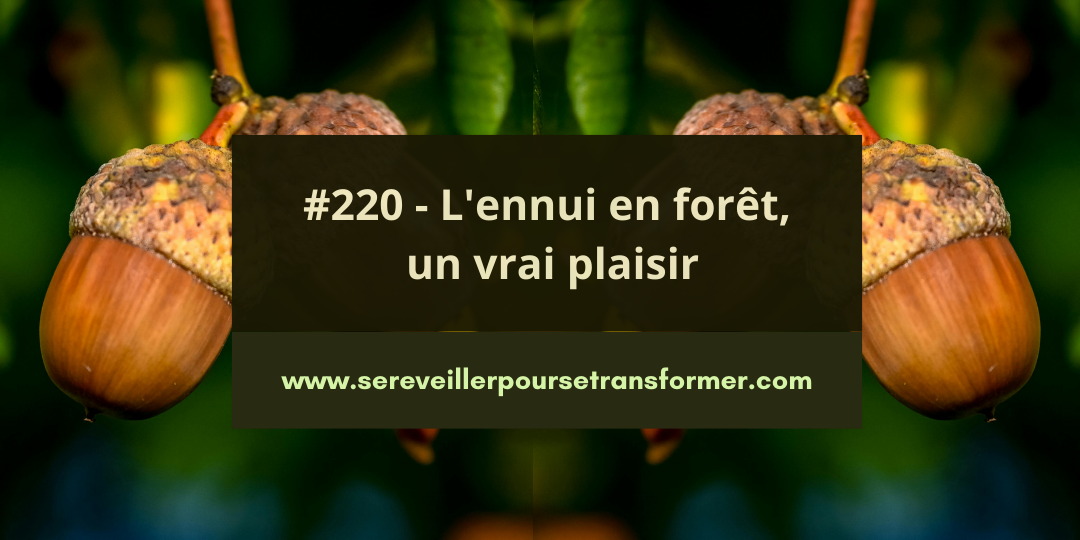 #220 – L&rsquo;ennui en forêt, un vrai plaisir