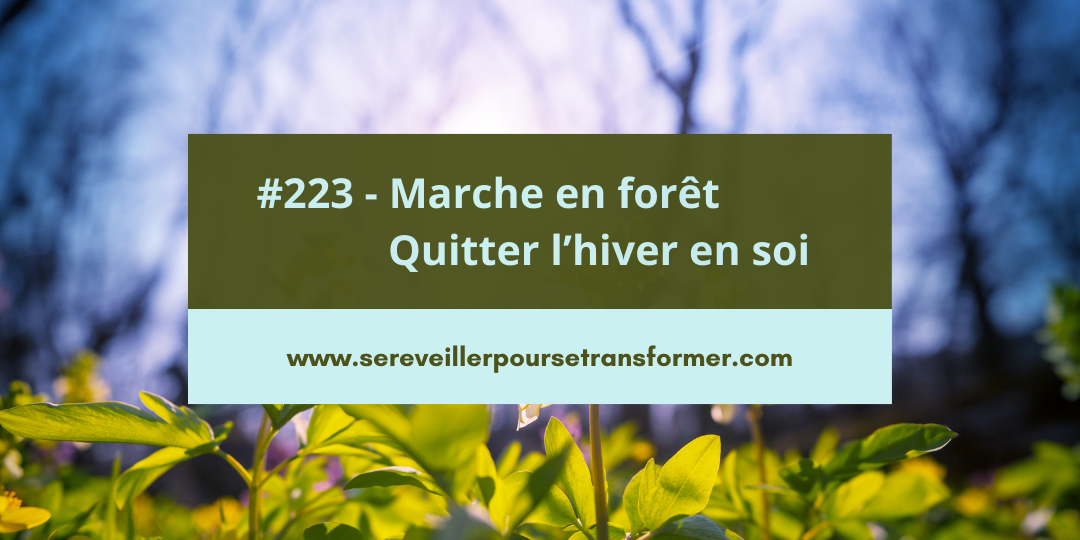 #223 – Marche en forêt : quitter l’hiver en soi