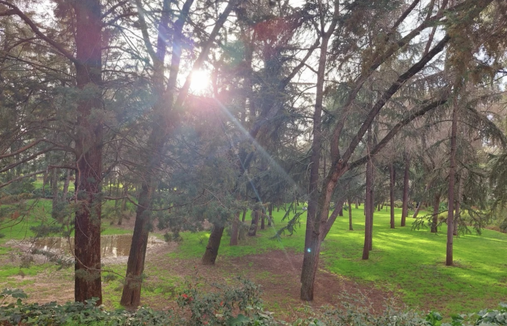 philosophie et spiritualité