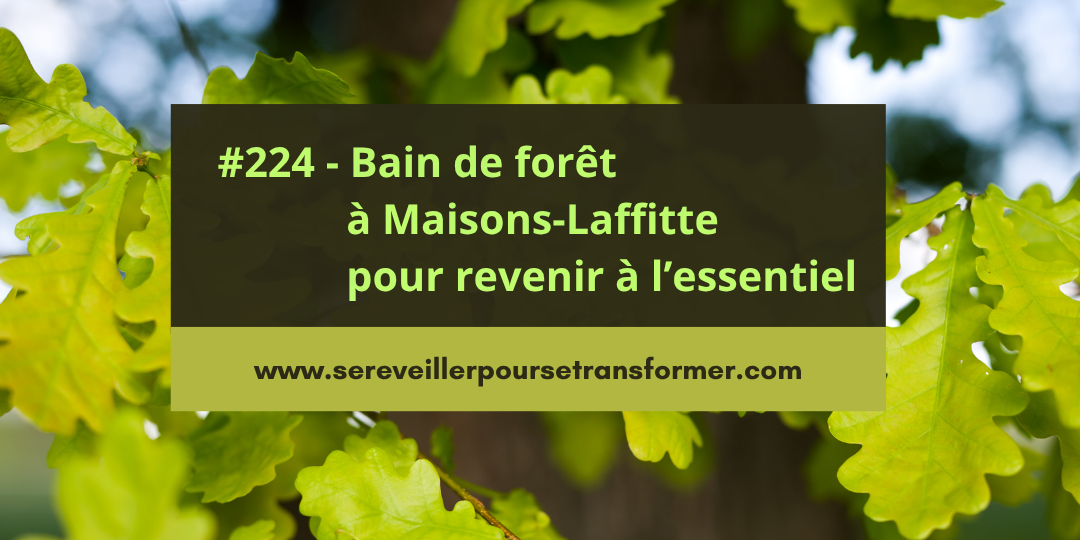 #224 – Bain de forêt à Maisons-Laffitte pour revenir à l’essentiel