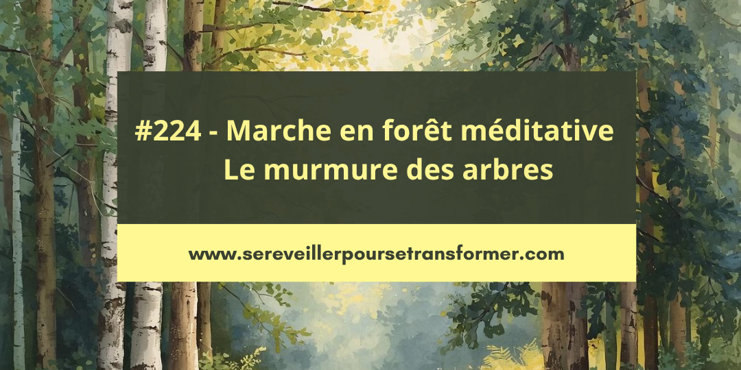 #225 – Marche en forêt méditative : Le murmure des arbres