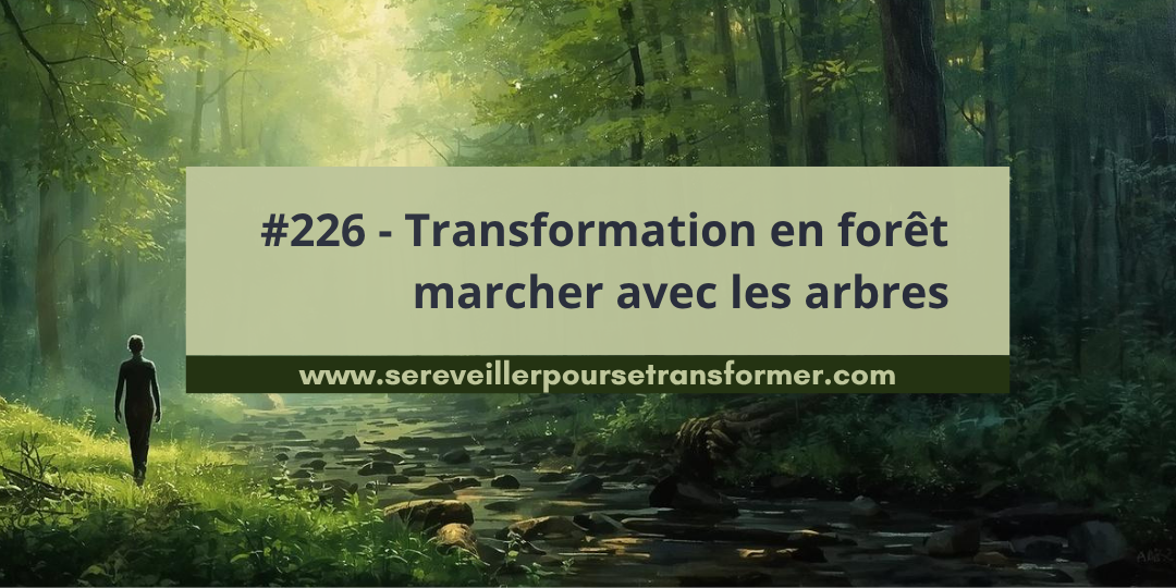 #226 – Transformation intérieure en forêt : marcher avec les arbres