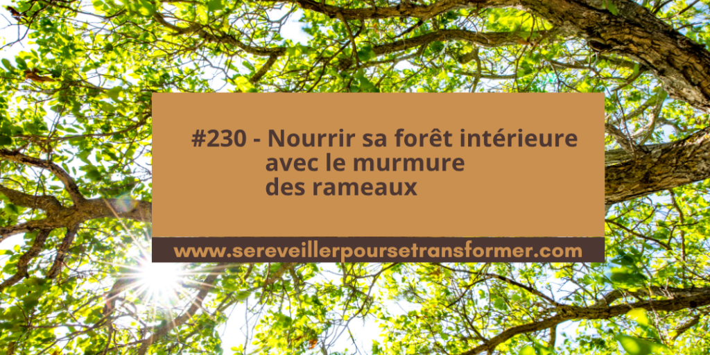 Nourrir sa forêt intérieure