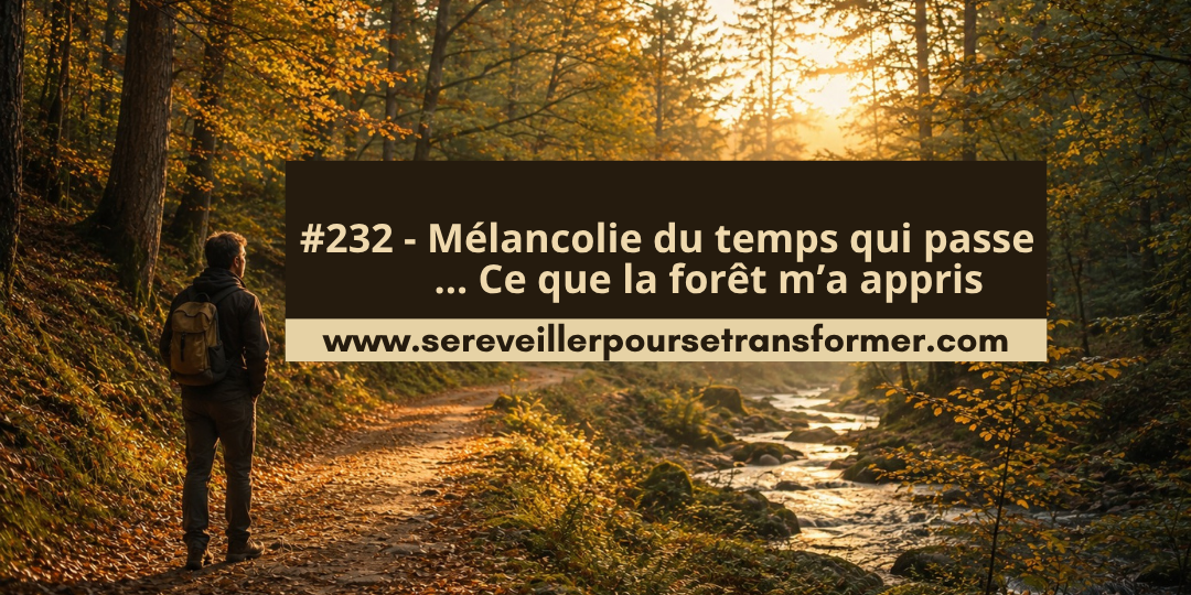 #232 – Mélancolie du temps qui passe : ce que la forêt m’a appris sur le présent