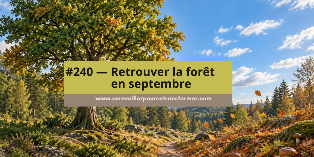 #240 — Retrouver la forêt en septembre